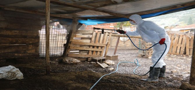 Büyükşehir’den Canlı Sağlığını Önemseyen Çalışma