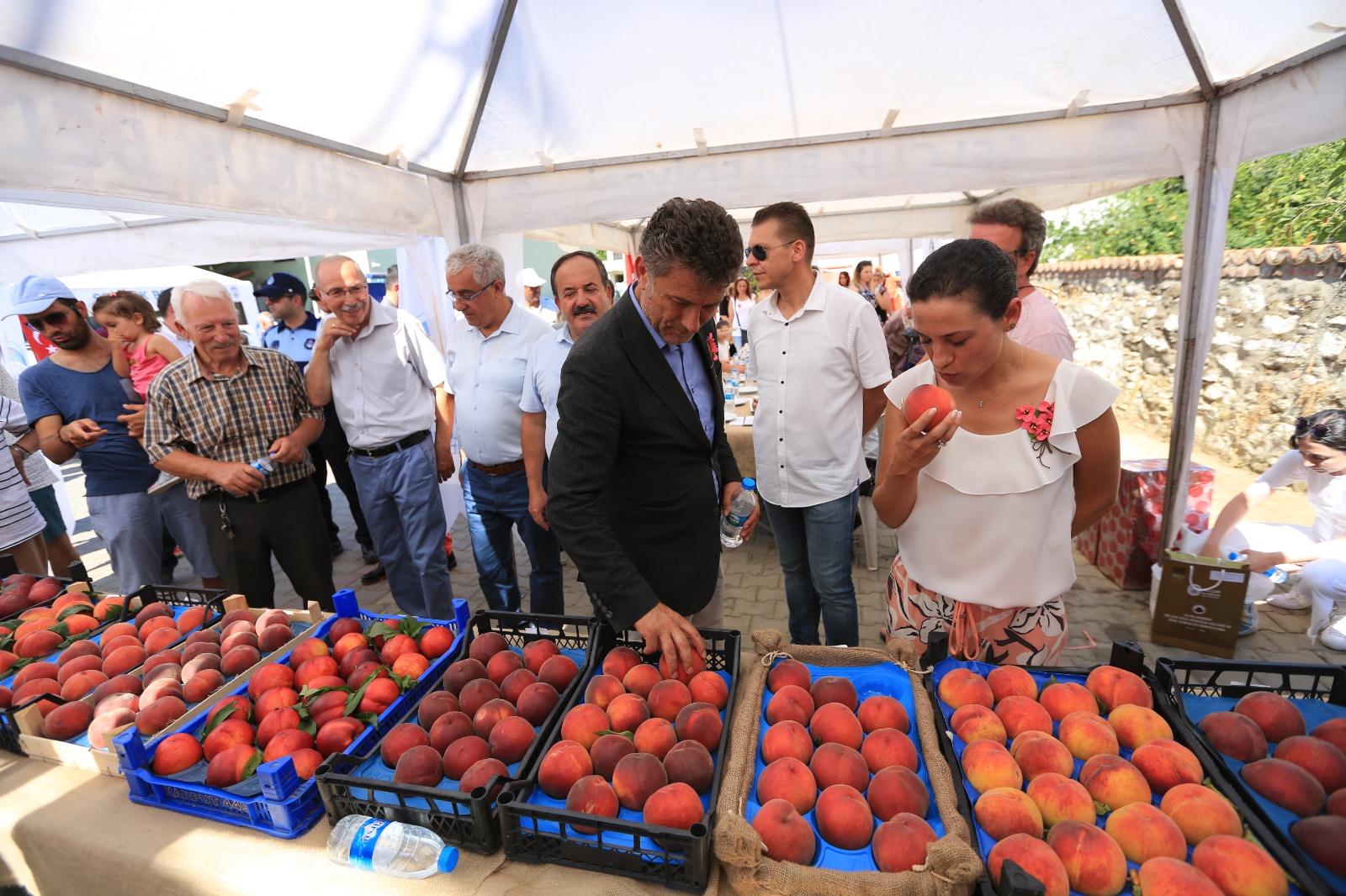 Selçuk Efes Şeftali İle Şenlendi