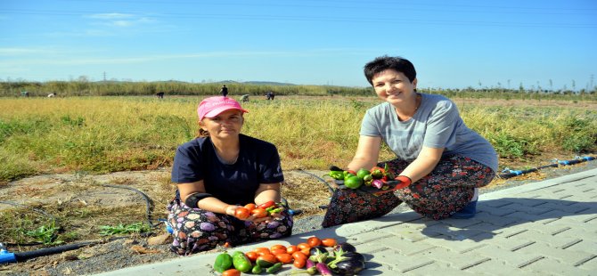 Aliağalı Kadınlardan Doğal Tarım Atağ