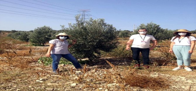 Aliağa’da Tarıma Destek Sürüyor