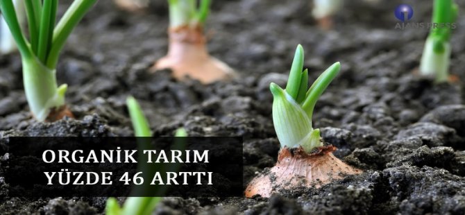 Organik Tarım Yüzde 46 Arttı