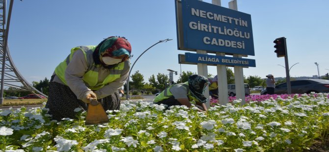 Aliağa Mevsimlik Çiçeklerle Renkleniyor