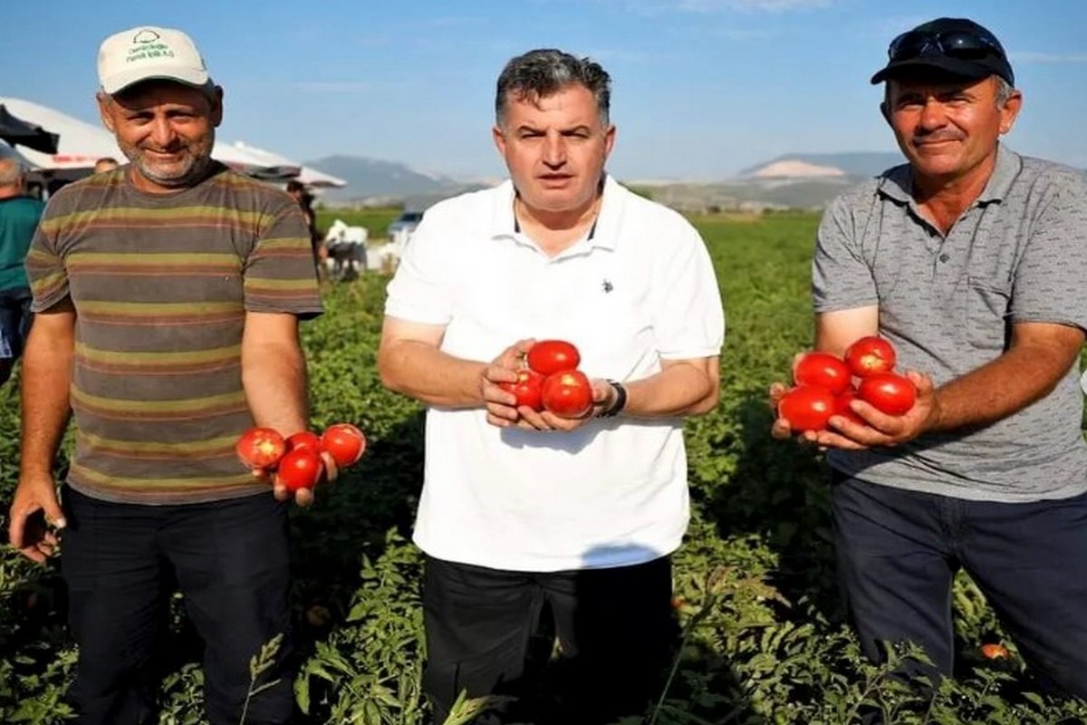 Kınık Kuru Domatesi Coğrafi İşaret Aldı