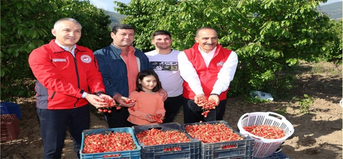 Kirazda rekorlar kırdığımız bir yıl olacak