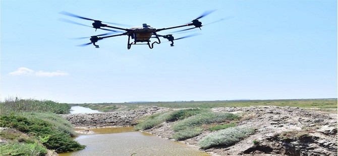 İzmir’de sivrisinek ile dronlu mücadele