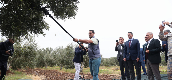 Zeytin Hasat Şenliği Aliağa’yı Buluşturdu