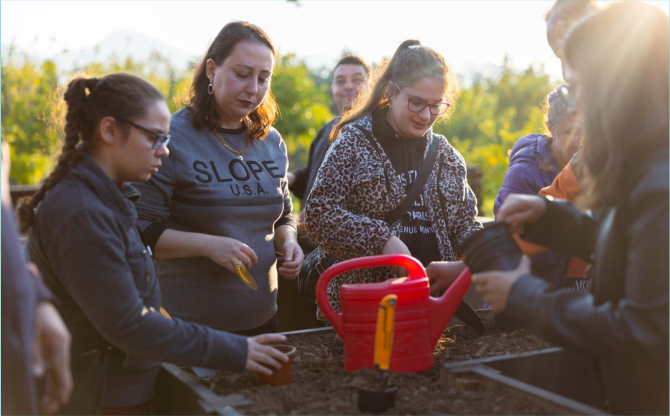 Tohumdan toprağa, topraktan sofraya