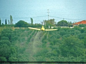 Balıkesir Büyükşehirden Zeytinciye Büyük Destek