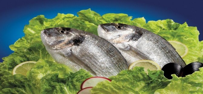 Balıkesir Su Ürünleri Fiyatları 11.10.2016