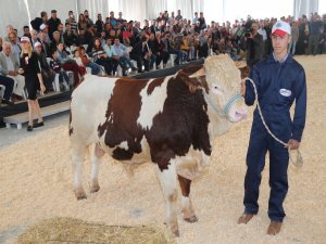 Uşak'ta Yeni Dönem