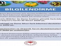 Aliağa İlçe Tarım’dan Üreticilere Bilgilendirme