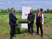 İzmir'de 17 Bin Kuşkonmaz Fidesi Üreticilere Dağıtıldı