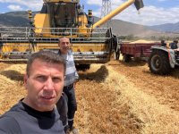 Aliağa'da 2025 Yılı Hububat Hasadı Başladı