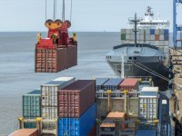 Ege Yaş Meyve Sebze İhracatında Sürdürülebilirlik Hamlesi