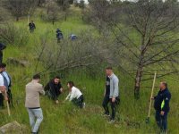 Aliağa’da yangınların yarası bin fıstık çamıyla sarıldı