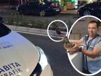 Trafiği durdurup ördeği kurtardılar