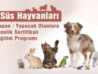 Ev ve Süs Hayvanları İçin Sertifikalı Eğitim