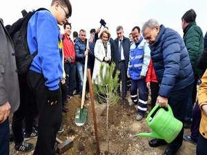 Taş Ocağıydı Orman Olacak